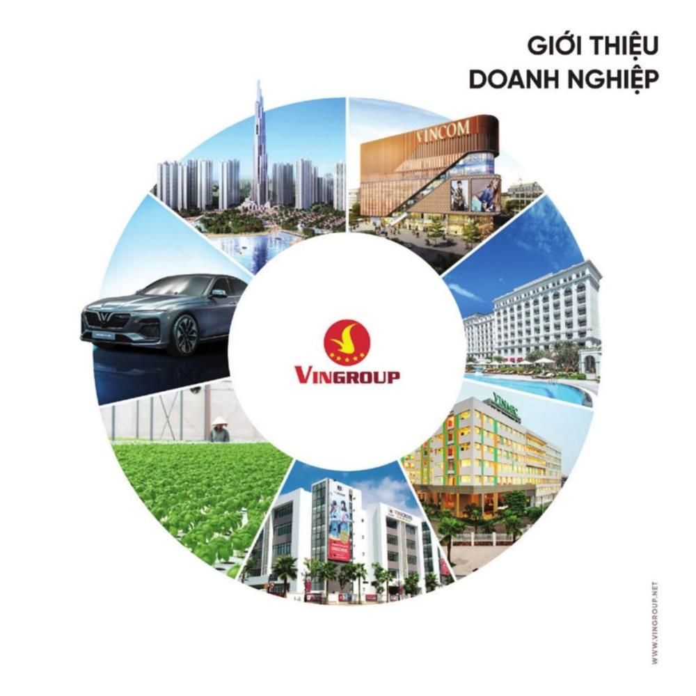 CÁC CÔNG TY THÀNH VIÊN NÒNG CỐT TRONG HỆ SINH THÁI VINGROUP